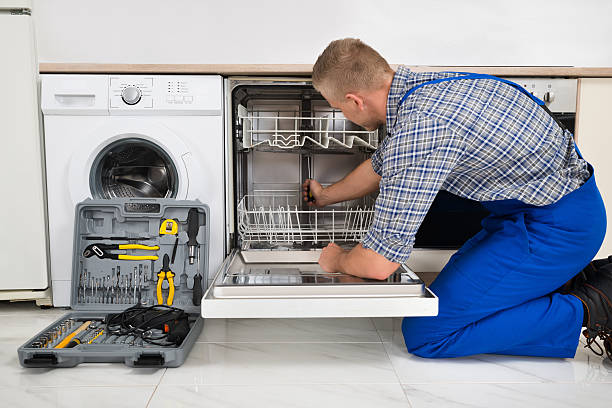Dishwasher repair background section